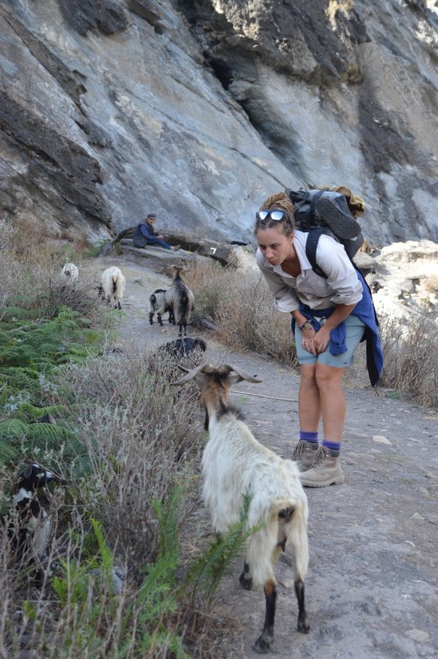 Jude is an animal whisperer.