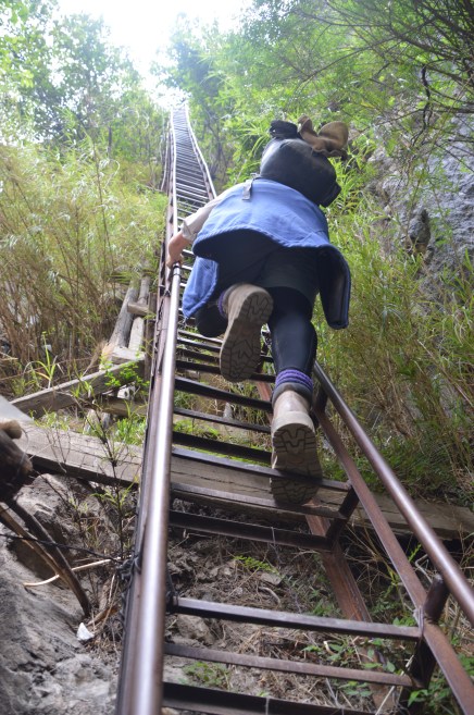 Climbing the 'white knuckle inducing' ladder.