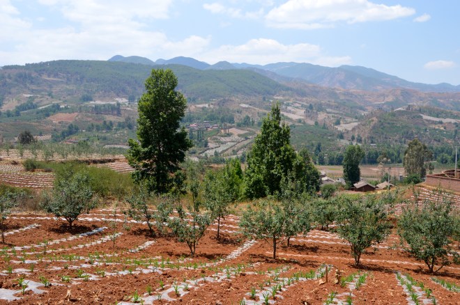 The valley opened into an open basin.