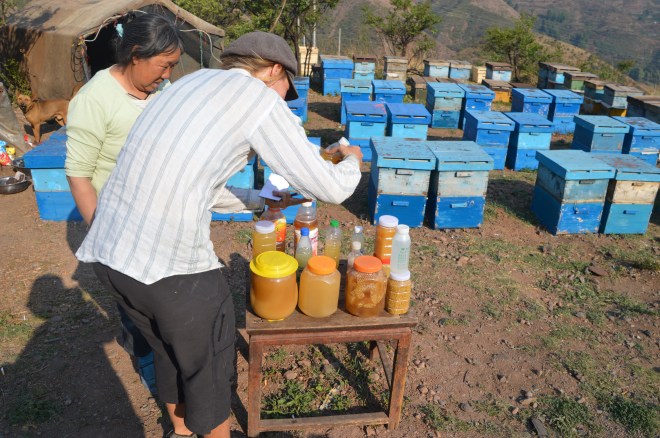 Choosing which honey to buy on the way up a climb.