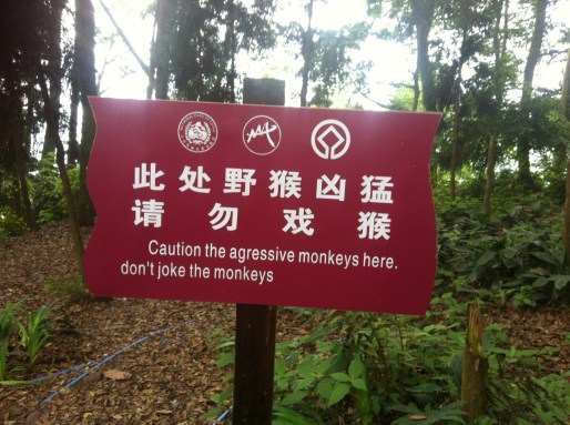 Don't joke the monkey, okay?