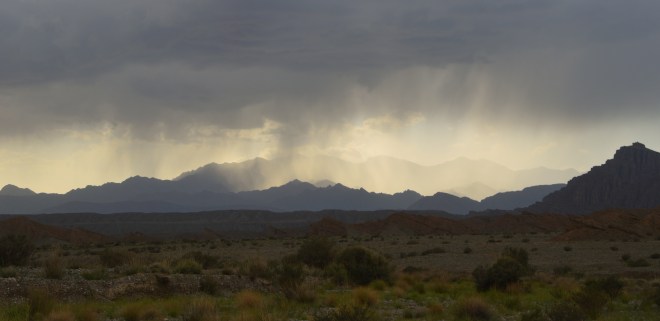 Watching the rain clouds come over.