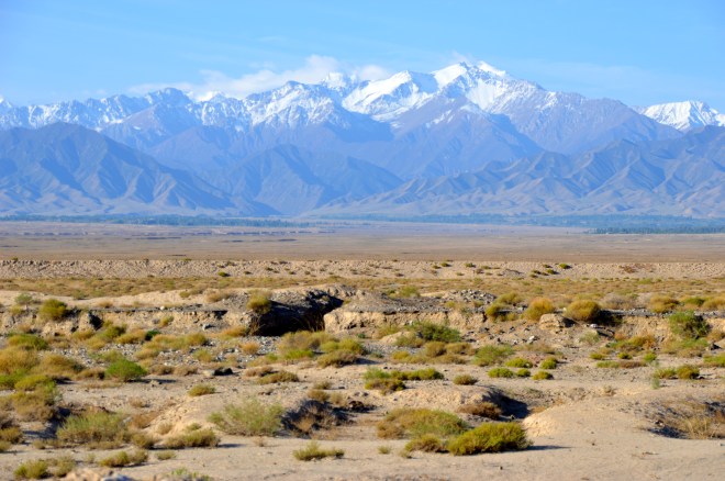 The view out of tent in the morning.