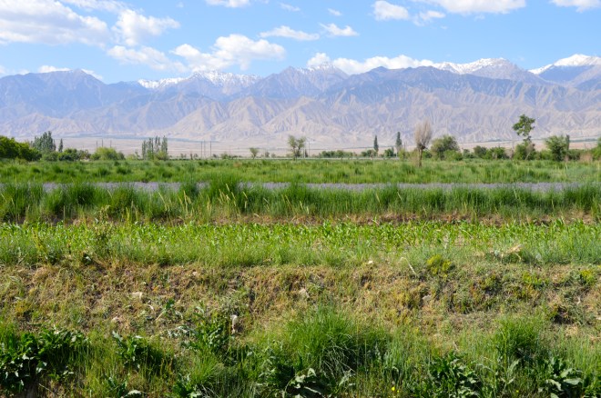 Another oasis town with a stunning view.