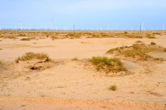 We sure are in the desert.