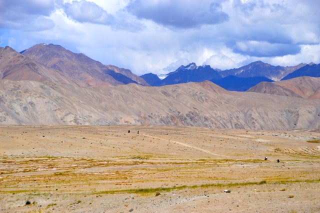 Can you spot the cyclists?