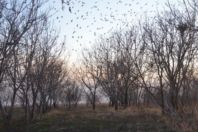 The view from the tent when we put it up that night.