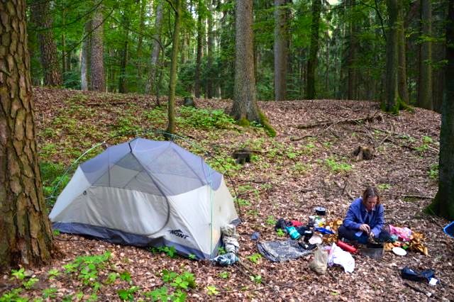 dsc_0071_19667125963_o