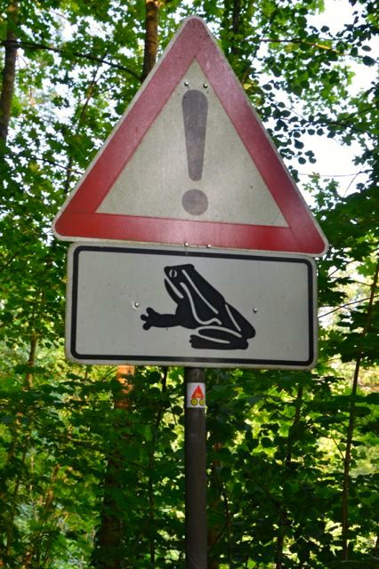 dsc_0134_20294022291_o