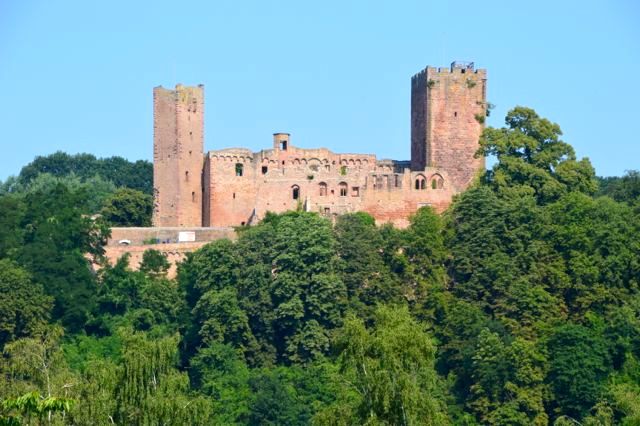 dsc_0135_20100077210_o