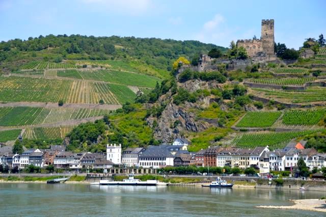 dsc_0233_19667117623_o