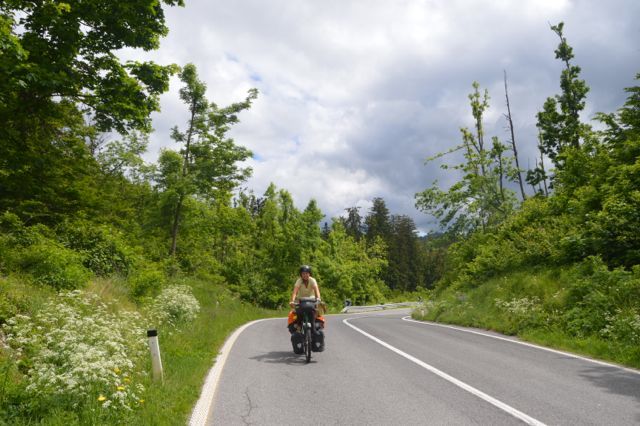 Greenery all around.