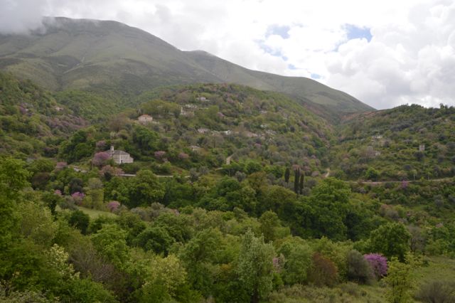 Stone houses and spring blooms.