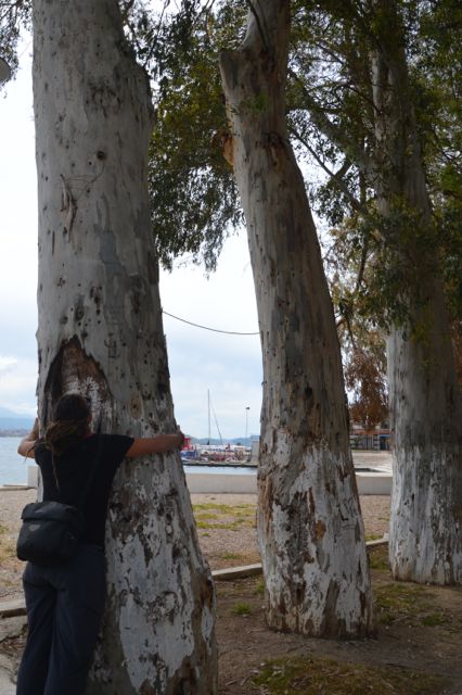 dsc_0563_20096878118_o