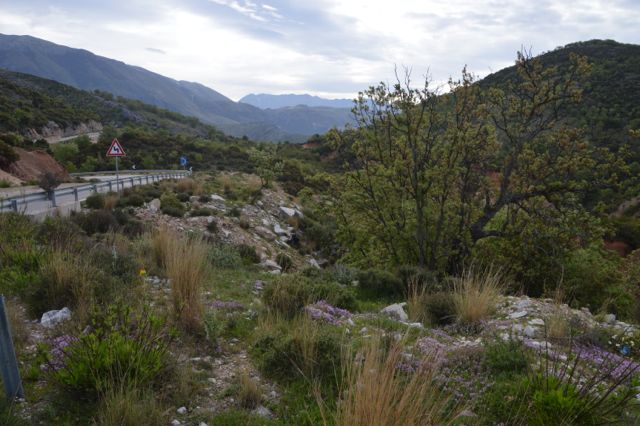 Climbing out of town.