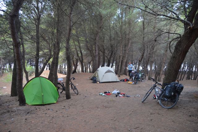 Our campsite in the pine forest where the fireflies put on their magical show.