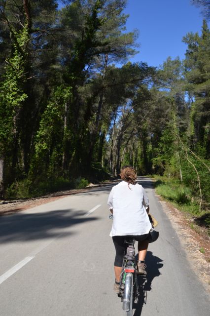 Cycling through the Divjaka-Karavasta national park.