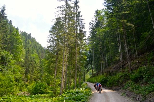 dsc_0703_20261248356_o