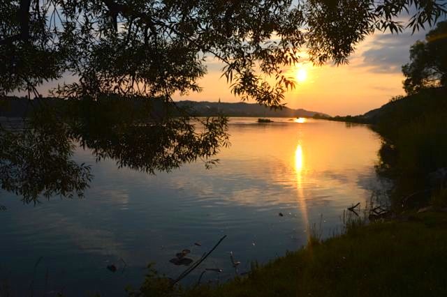 dsc_0785_20100069310_o