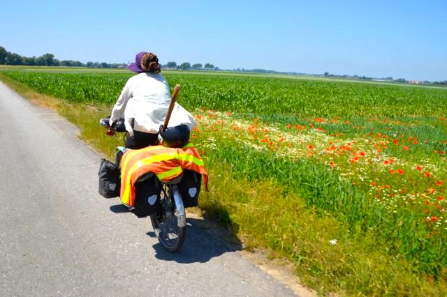 dsc_0804_20100068090_o