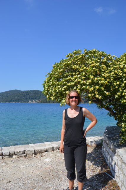 dsc_0095_20259399616_o