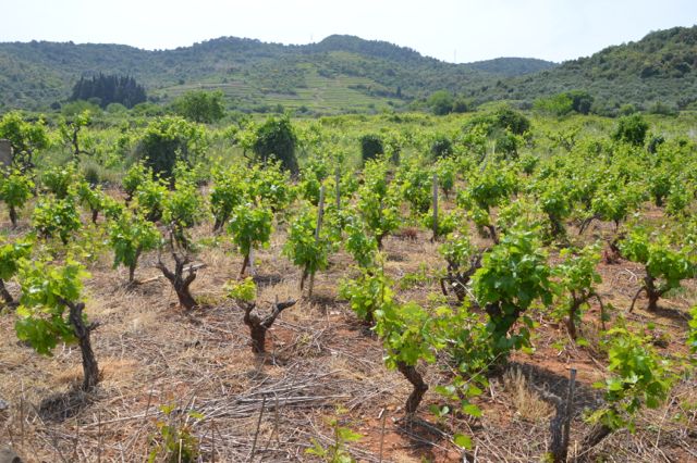 dsc_0160_19663010244_o