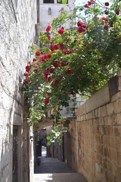 dsc_0182_20291591031_o