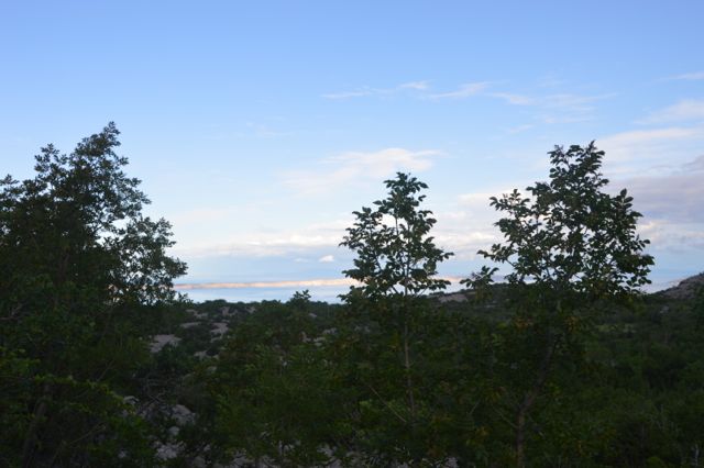 dsc_0305_20099359409_o