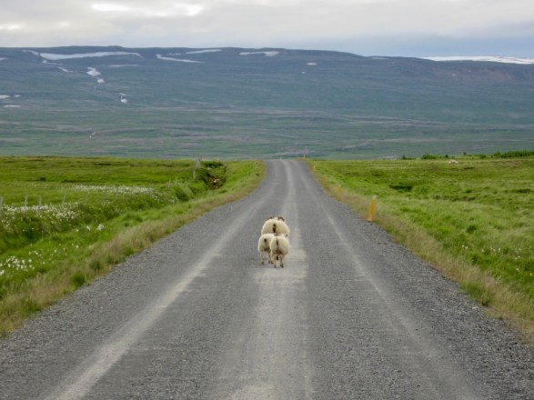 08GiEp+GTaeeuaEJLbvuSA_thumb_ff66