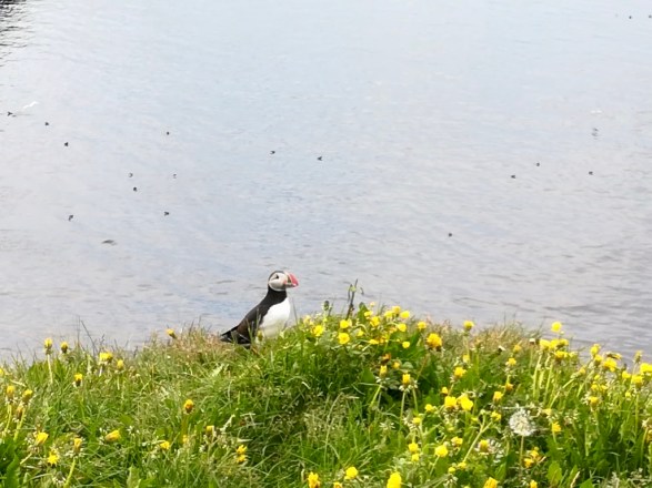 2ejAu6KSTVqUiMdC+HMGCQ_thumb_fe92