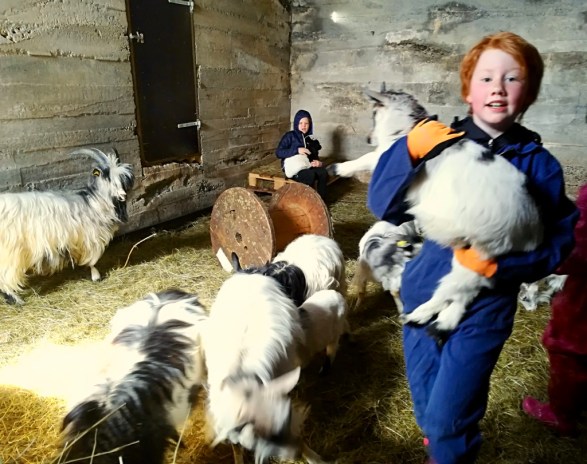 5hvnWgY6SXib6nppJmwZqg_thumb_fc3b