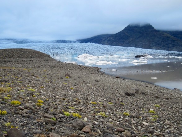 hOSG7YFNSoy4H0i2Po4q0A_thumb_10136