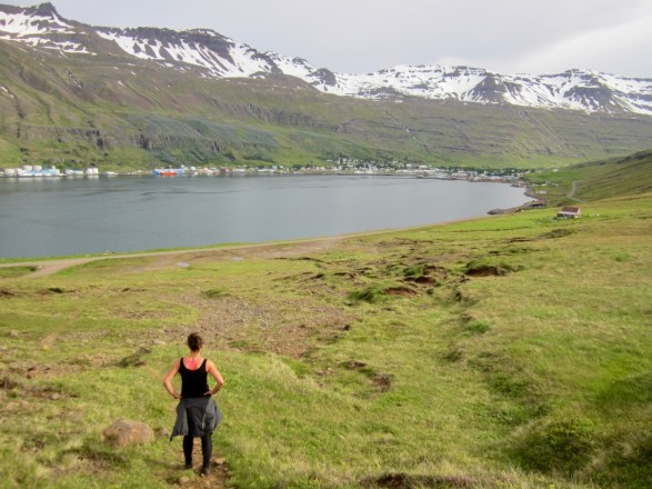 KjgQogSFSp6SujVZJeWJ4g_thumb_ff1e