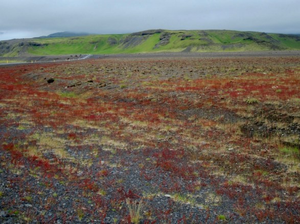 NbwApRO8SL2IDNhnQt+hBg_thumb_1006c