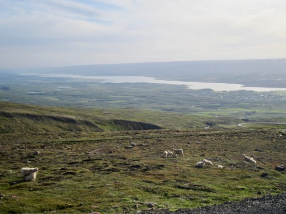 NQ6BzNAZSAWQZrUqIOHiJA_thumb_ff27