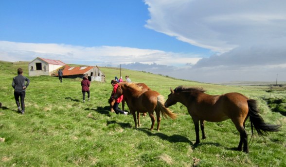 qvvD7KROSWalQ61Wo3l5Qg_thumb_ff70