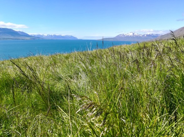 X9U53bbpQcWmhO3T%I78Zw_thumb_104d1