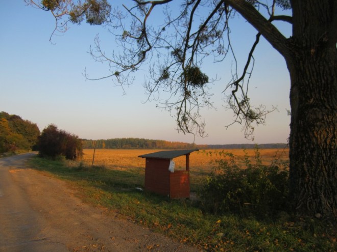 UNADJUSTEDNONRAW_thumb_109cb