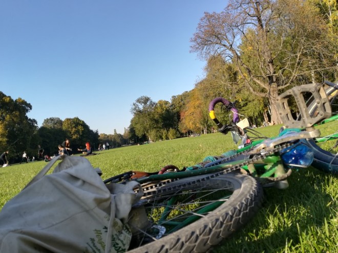 UNADJUSTEDNONRAW_thumb_10b80