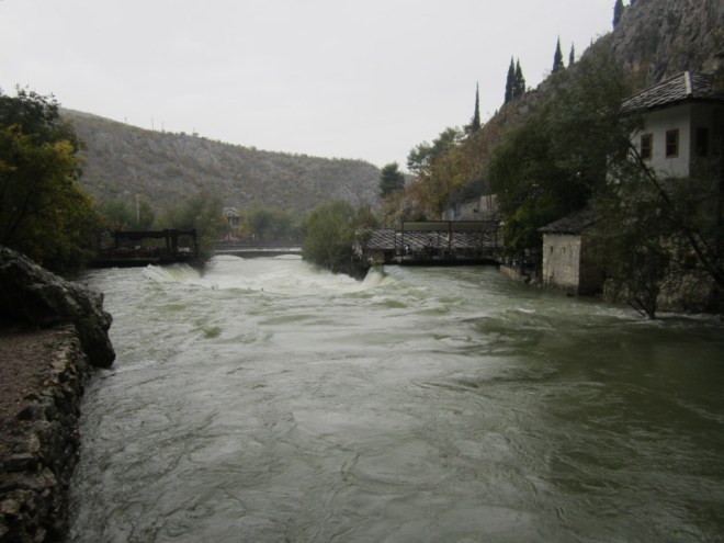 UNADJUSTEDNONRAW_thumb_10e50