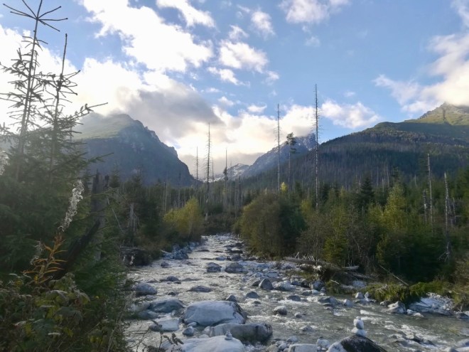 W3IfAyVwSN2RpBp8jeG4pw_thumb_10b25