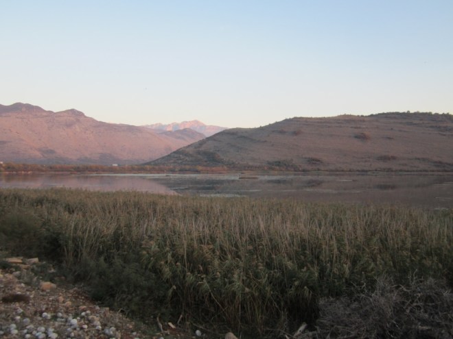 unadjustednonraw_thumb_10ec5