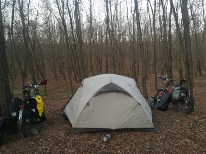 UNADJUSTEDNONRAW_thumb_10fd0