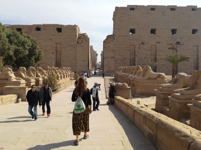 UNADJUSTEDNONRAW_thumb_11104