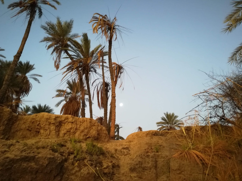 UNADJUSTEDNONRAW_thumb_1110e