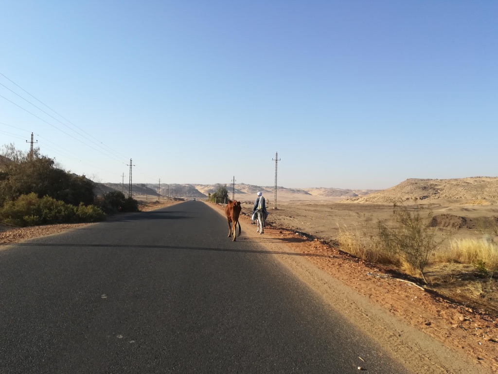 UNADJUSTEDNONRAW_thumb_11110