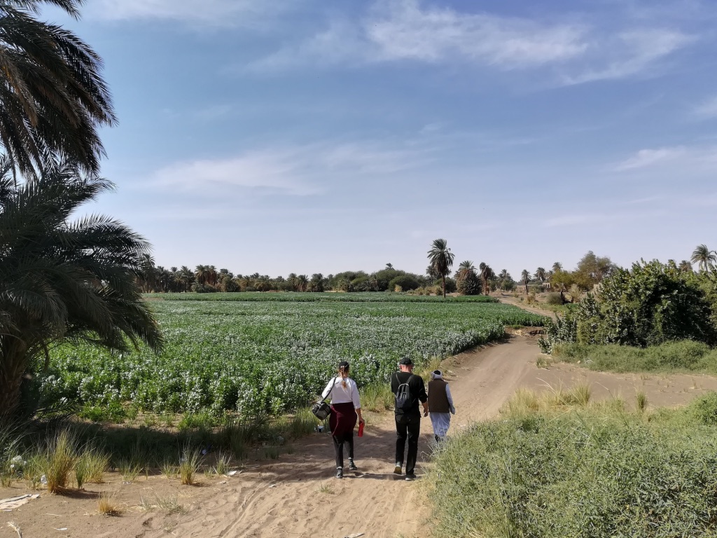 UNADJUSTEDNONRAW_thumb_11144