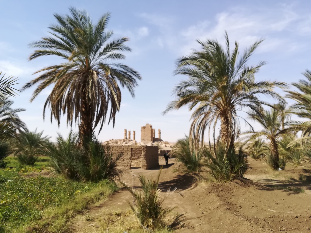 UNADJUSTEDNONRAW_thumb_11145