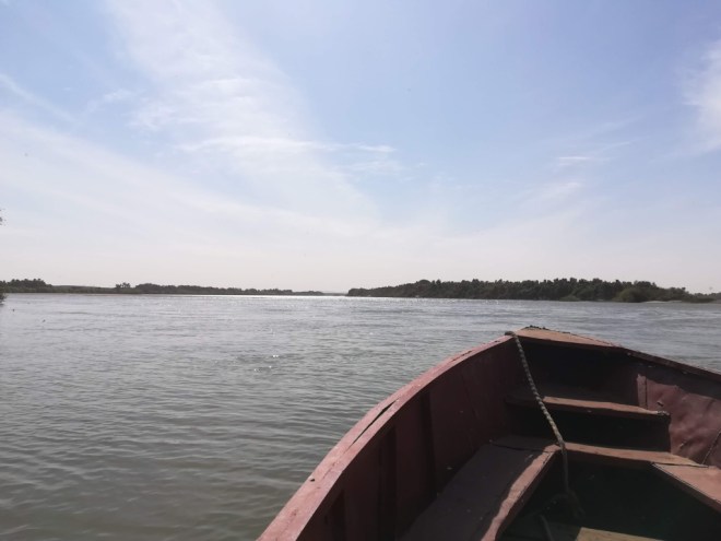 UNADJUSTEDNONRAW_thumb_1114f