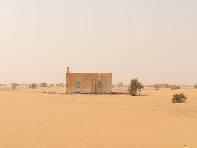 UNADJUSTEDNONRAW_thumb_11154